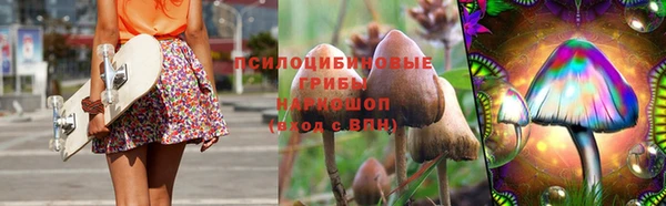 стаф Армянск