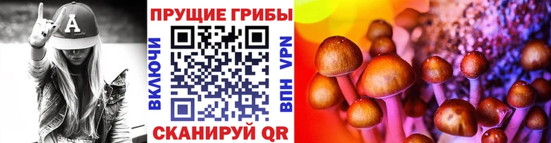 кракен зеркало  Порхов  Псилоцибиновые грибы прущие грибы  наркота 